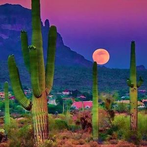 Fundraising Page: Enrique Aviles